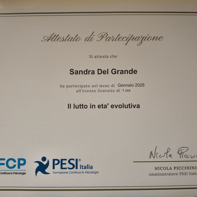 Ingrandire l'immagine: certificate 48