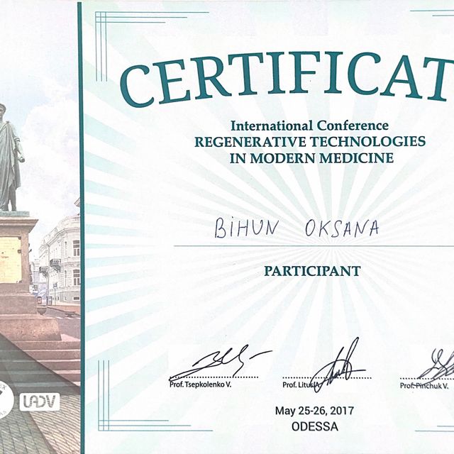 Powiększ obraz: certificate 24