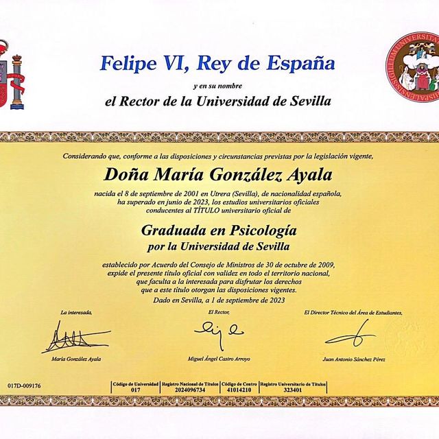 Acercar imagen: certificate 6