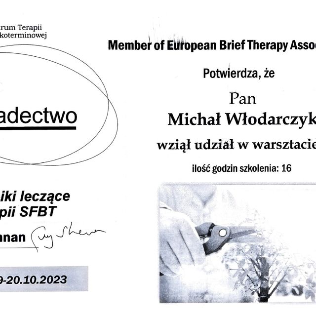 Powiększ obraz: certificate 3