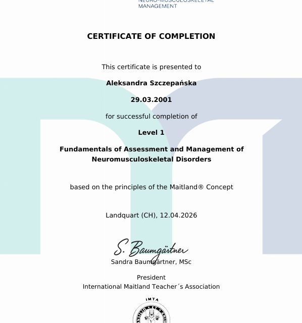 Powiększ obraz: certificate 1