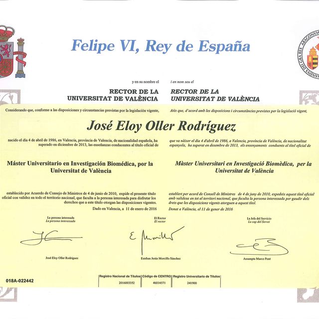 Acercar imagen: certificate 8