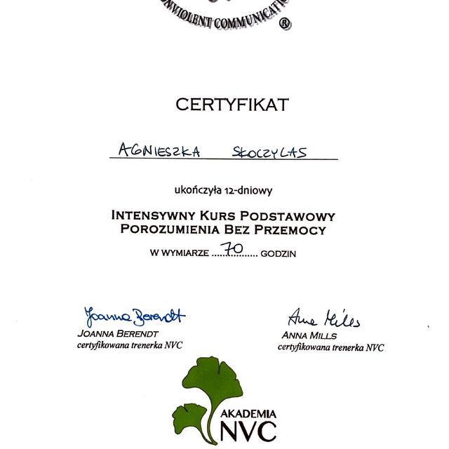 Powiększ obraz: certificate 6