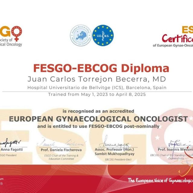 Acercar imagen: certificate 1