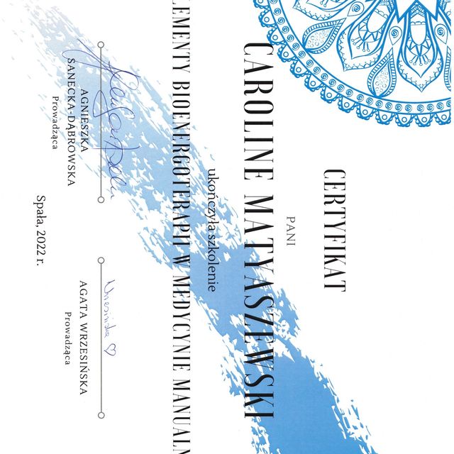 Powiększ obraz: certificate 13