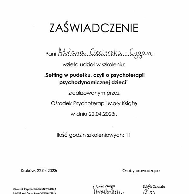 Powiększ obraz: certificate 3