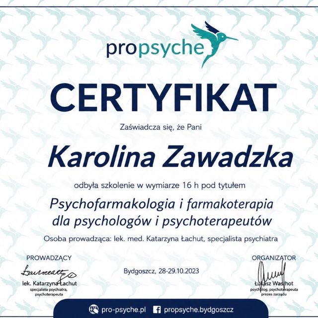 Powiększ obraz: certificate 3