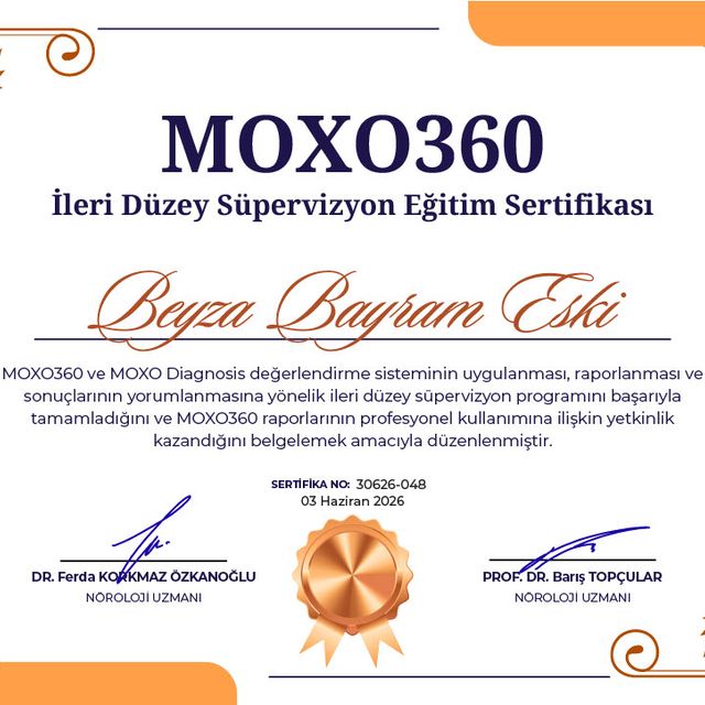 Resmi büyüt: certificate 11