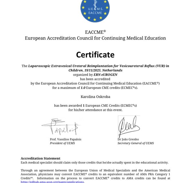 Powiększ obraz: certificate 5