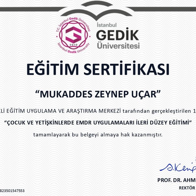 Resmi büyüt: certificate 3
