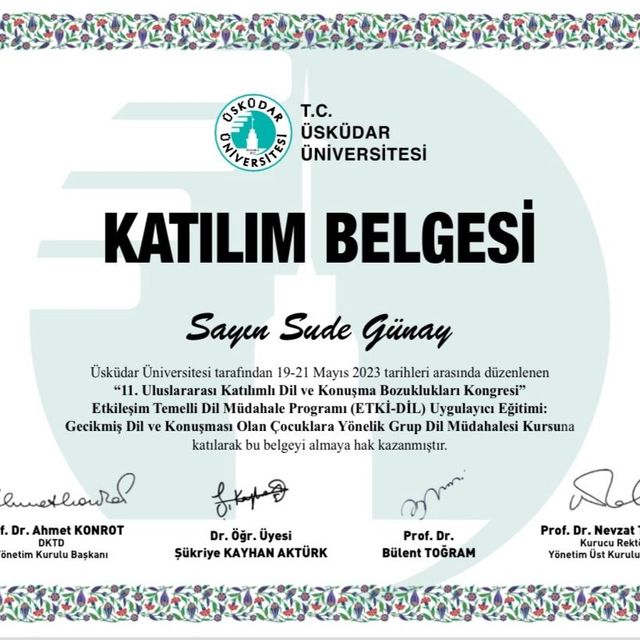 Resmi büyüt: certificate 6