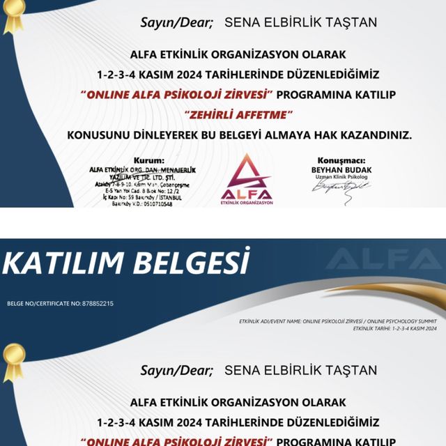 Resmi büyüt: certificate 1