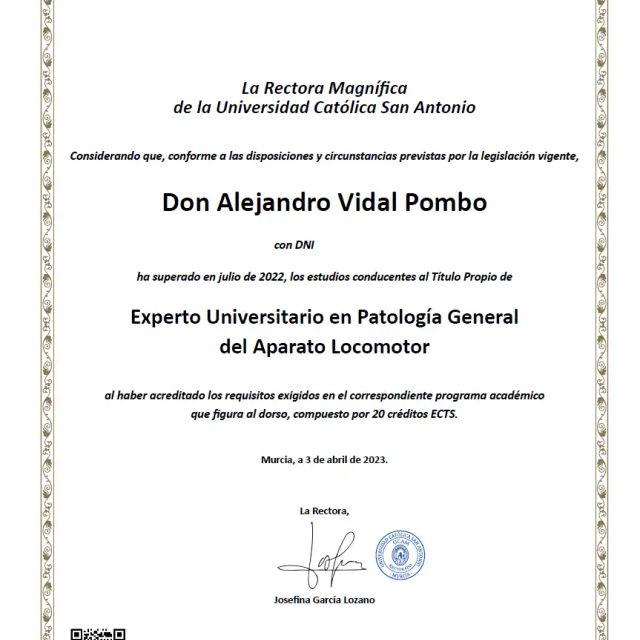 Acercar imagen: certificate 3