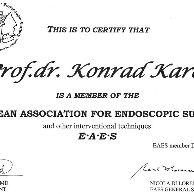 Powiększ obraz: certificate 16