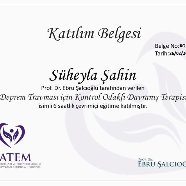 Resmi büyüt: certificate 12