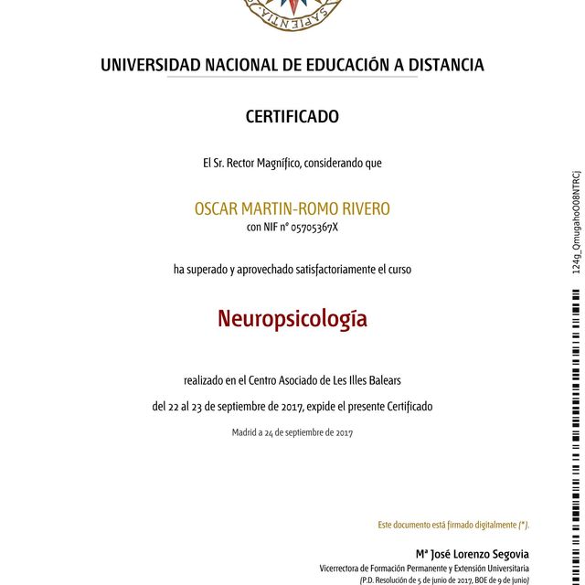 Acercar imagen: certificate 26