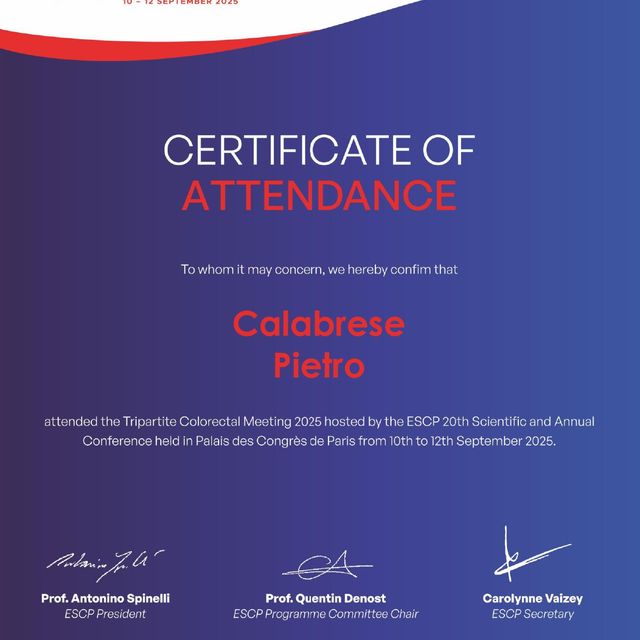 Ingrandire l'immagine: certificate 1