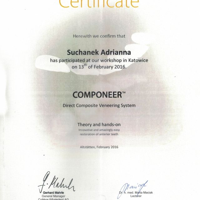 Powiększ obraz: certificate 24