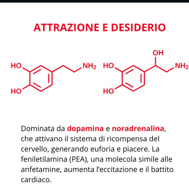 Ingrandire l'immagine: certificate 342