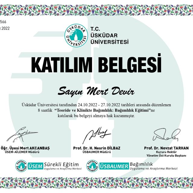 Resmi büyüt: certificate 5