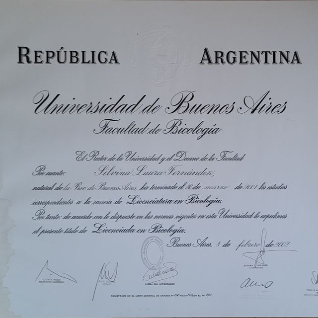 Acercar imagen: certificate 2