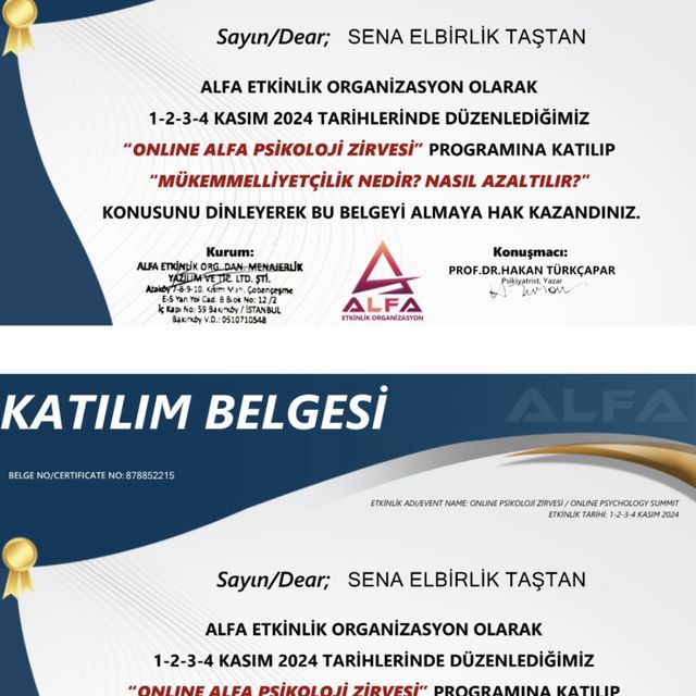 Resmi büyüt: certificate 9