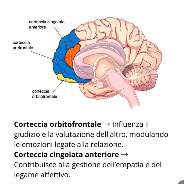 Ingrandire l'immagine: certificate 348