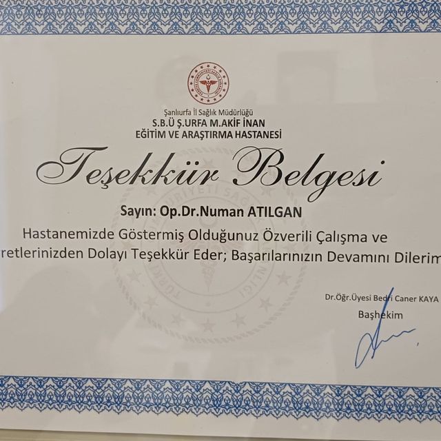Resmi büyüt: certificate 4