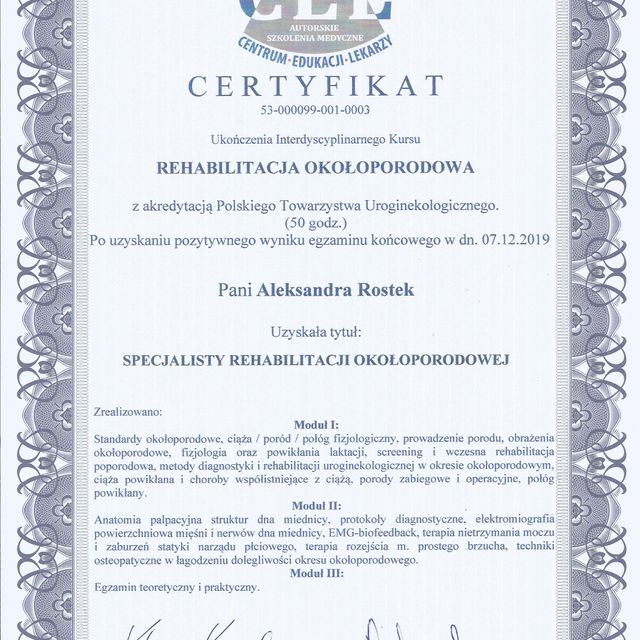 Powiększ obraz: certificate 2