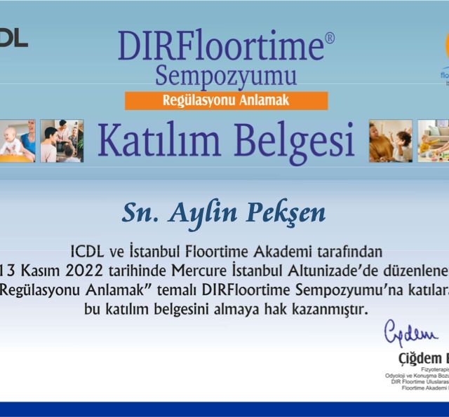 Resmi büyüt: certificate 4