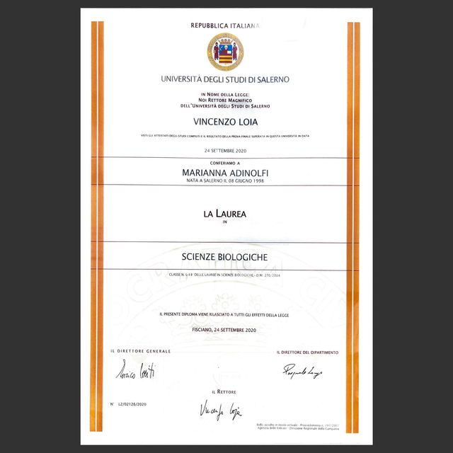 Ingrandire l'immagine: certificate 3