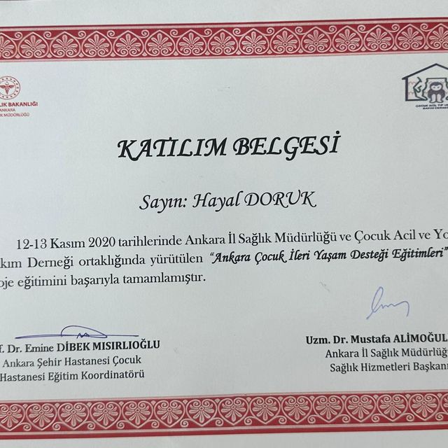 Resmi büyüt: certificate 6