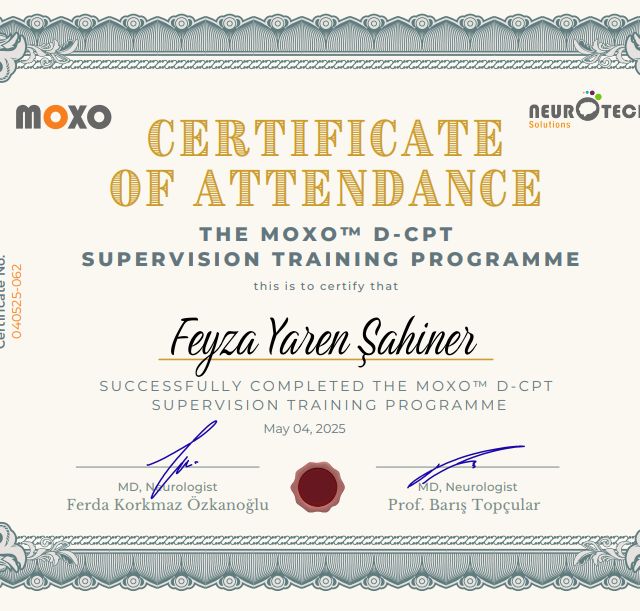 Resmi büyüt: certificate 2