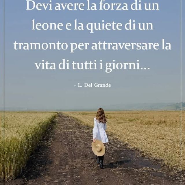 Ingrandire l'immagine: certificate 237