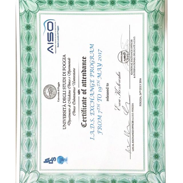 Powiększ obraz: certificate 10