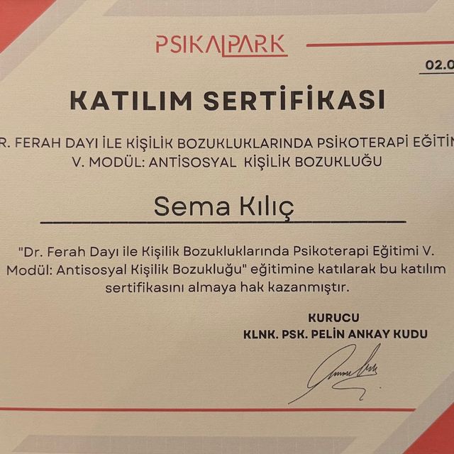 Resmi büyüt: certificate 16
