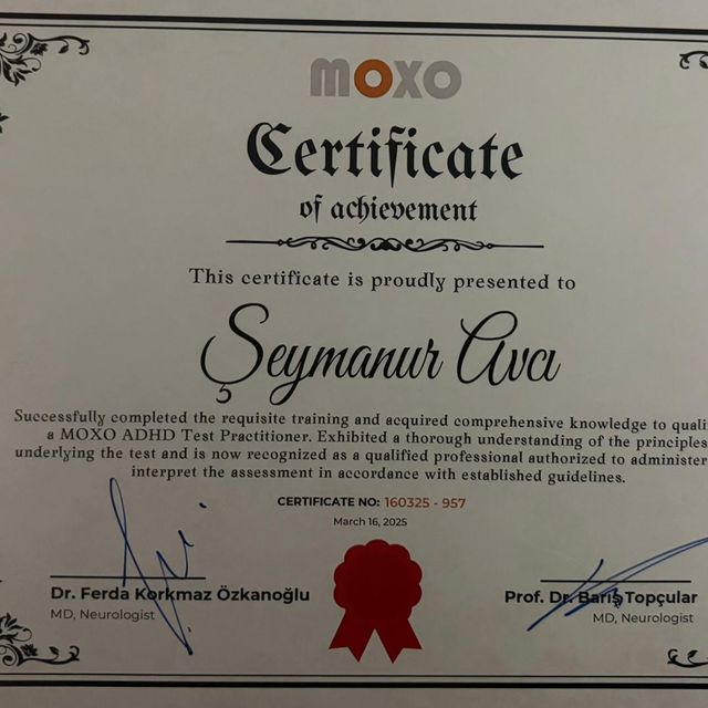 Resmi büyüt: certificate 20