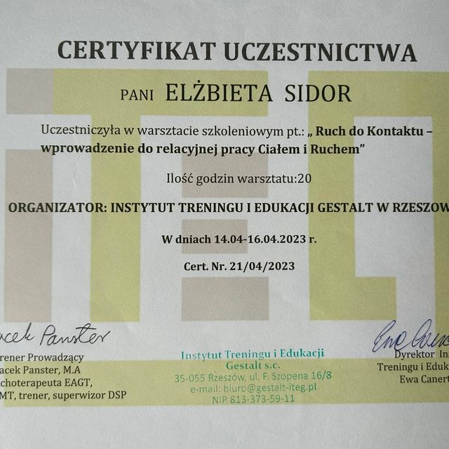 Powiększ obraz: certificate 7