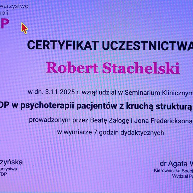 Powiększ obraz: certificate 13