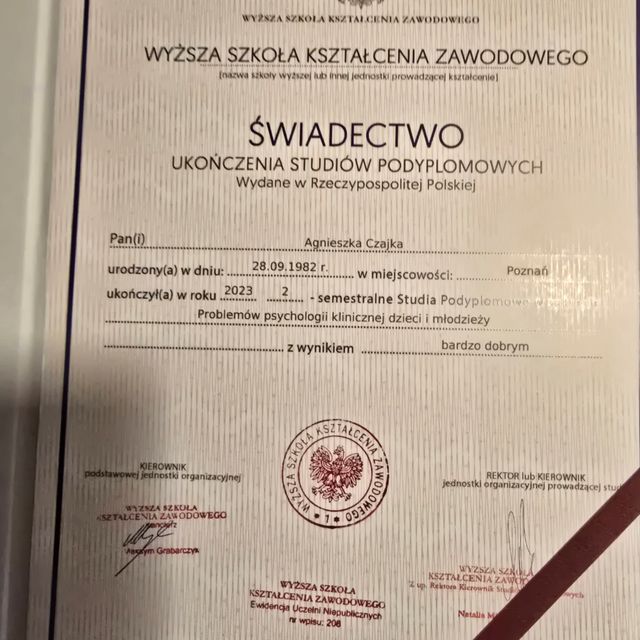 Powiększ obraz: certificate 11