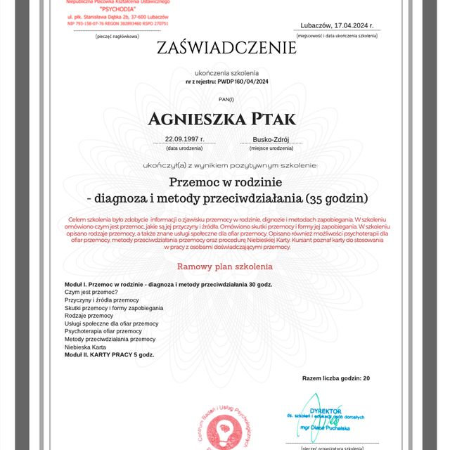 Powiększ obraz: certificate 2