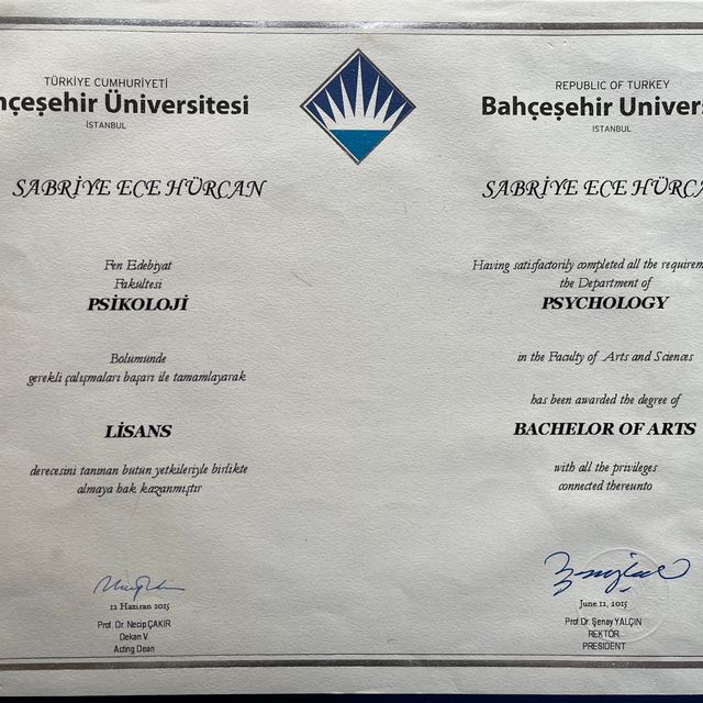 Resmi büyüt: certificate 2
