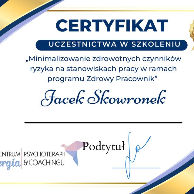 Powiększ obraz: certificate 1