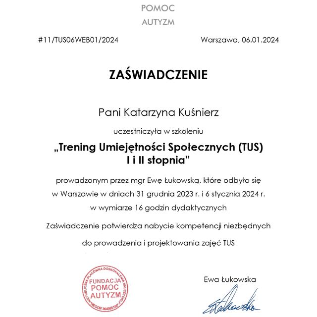 Powiększ obraz: certificate 1