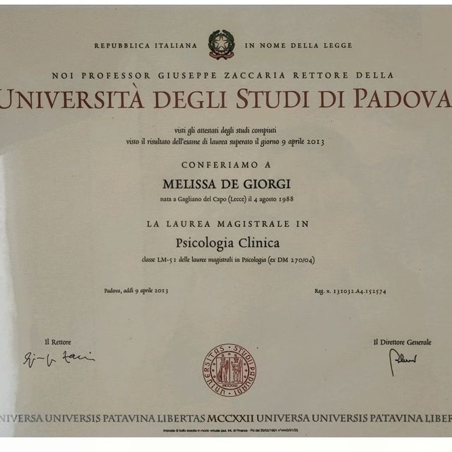 Ingrandire l'immagine: certificate 1