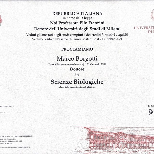 Ingrandire l'immagine: certificate 1