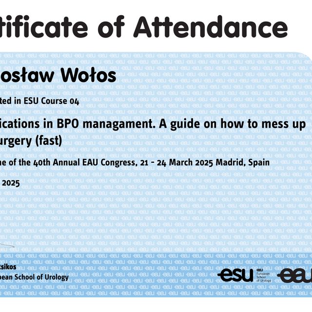 Powiększ obraz: certificate 4