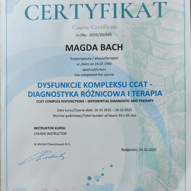 Powiększ obraz: certificate 8