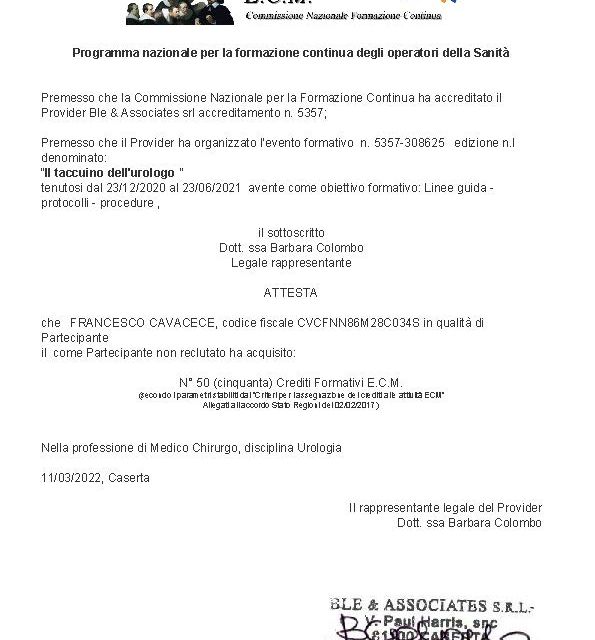 Ingrandire l'immagine: certificate 33