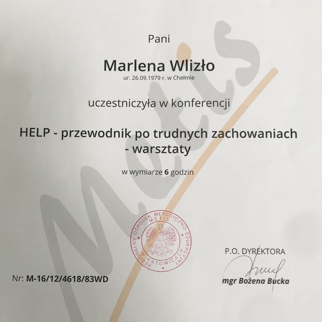 Powiększ obraz: certificate 3